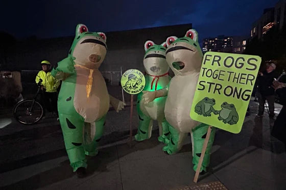 FROG Protest Charity Sticker