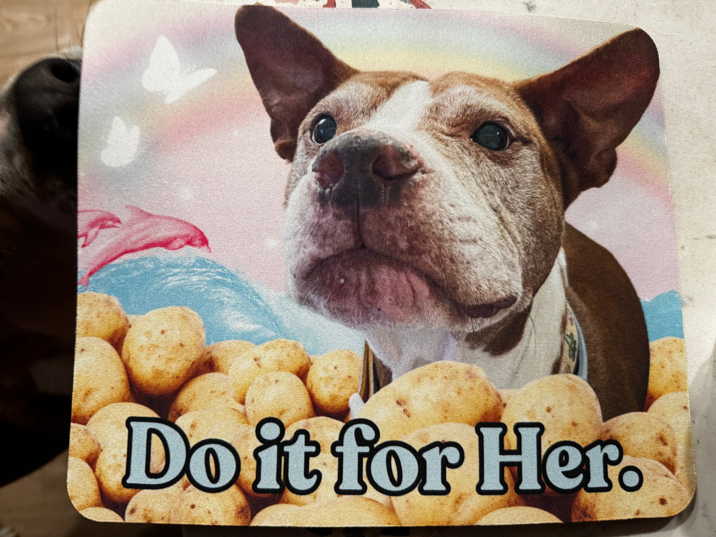 Custom Mouse Pad "Do It For ___"